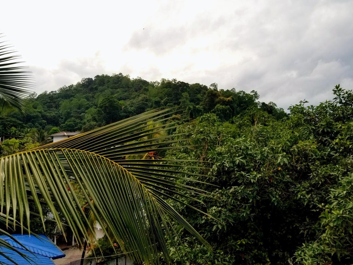 Queens Mount Kandy Bagian luar foto